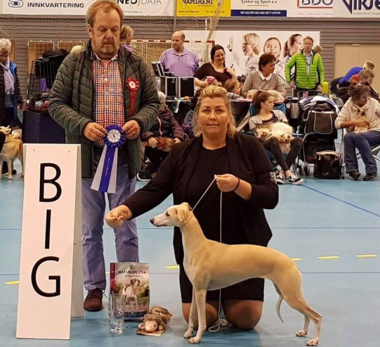 Lumi BIR Stord 12.nov 2017