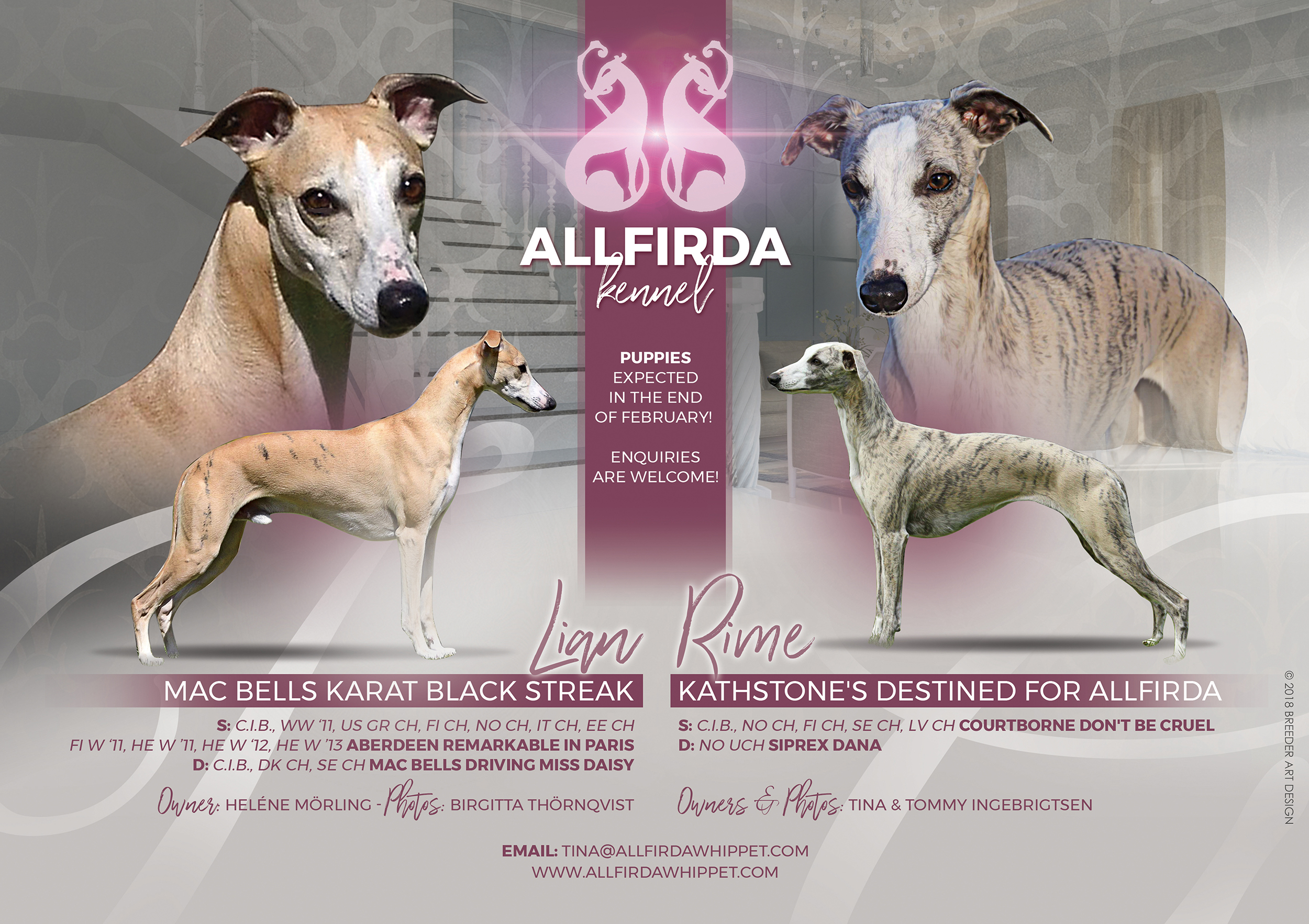 Allfirda Announcement (1)