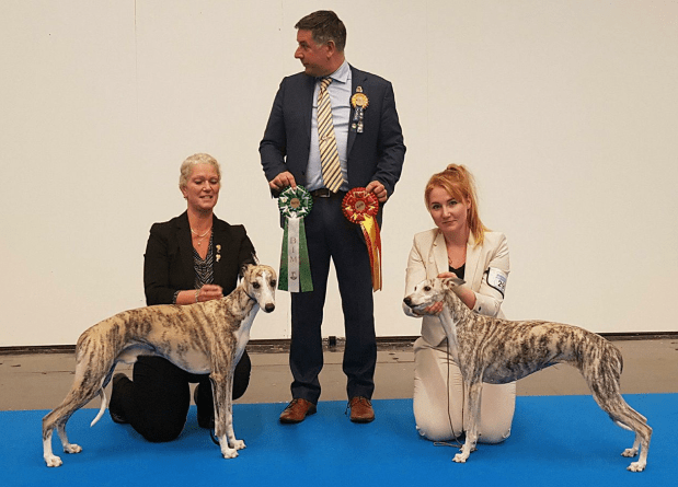 Lyra BIR og Gidde BIM.png