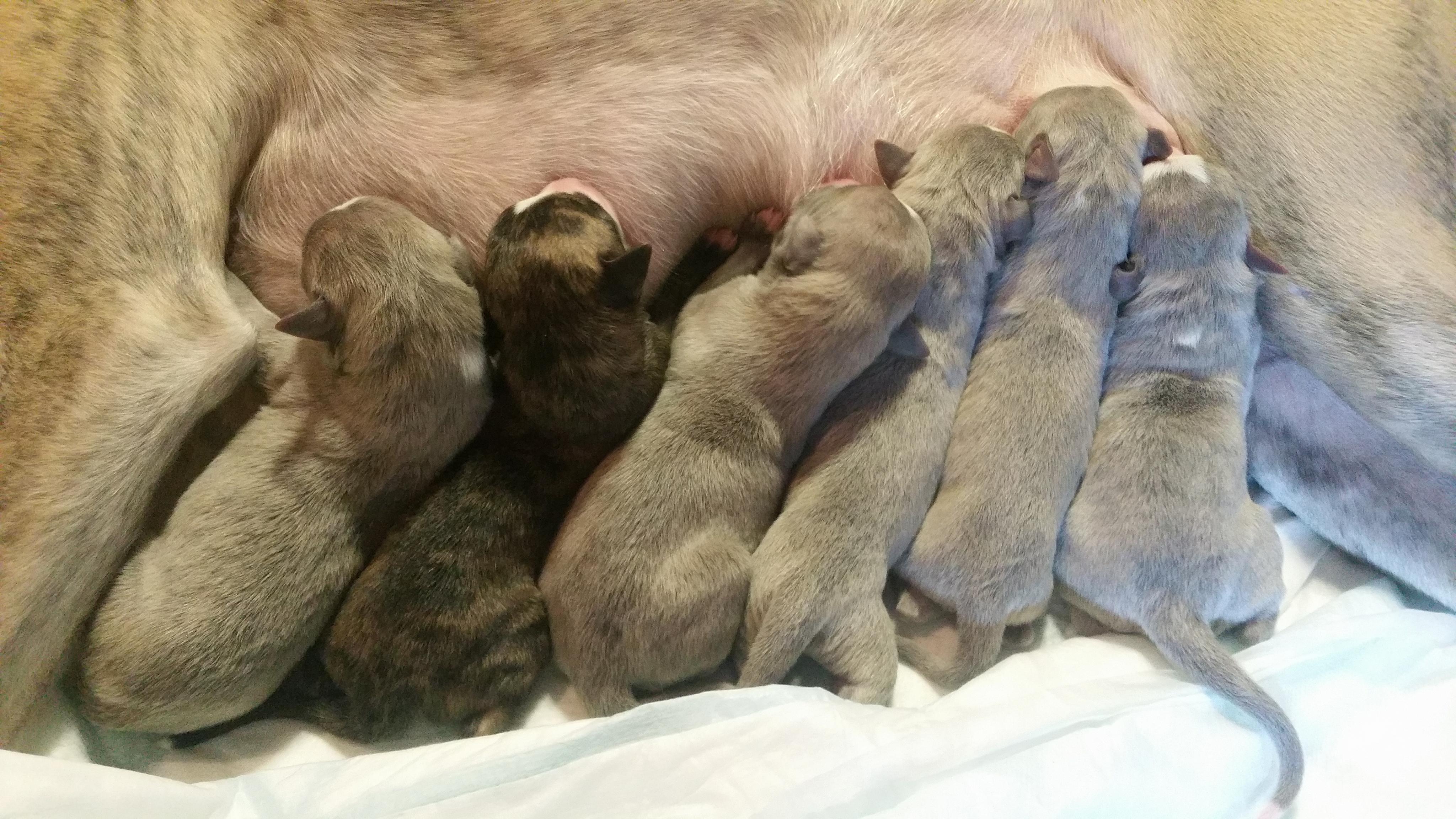 28417717_10155940330570953_752530654_o