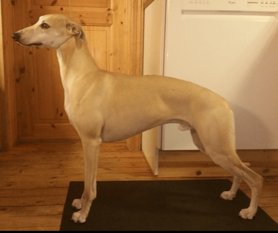 28033541_10155908204830953_919160719_o