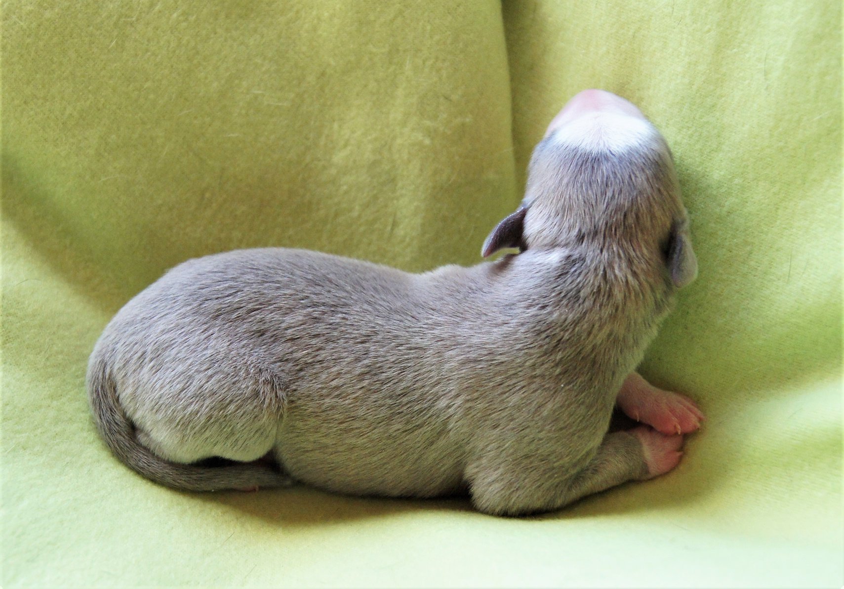 28238524_2055135301168311_2652889525257479907_o