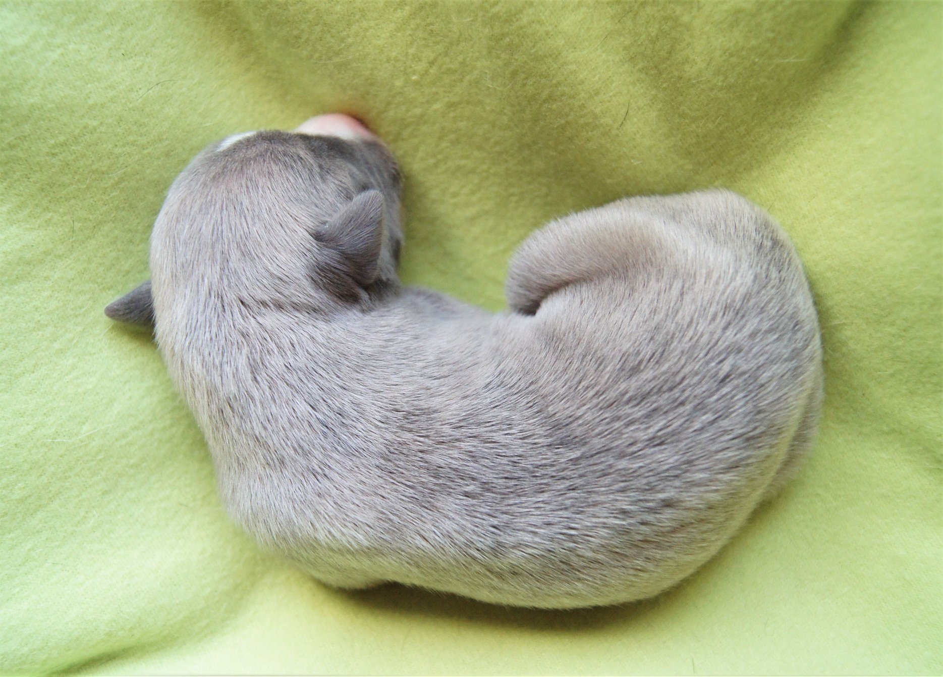 28337070_2055135977834910_6087683560997471739_o