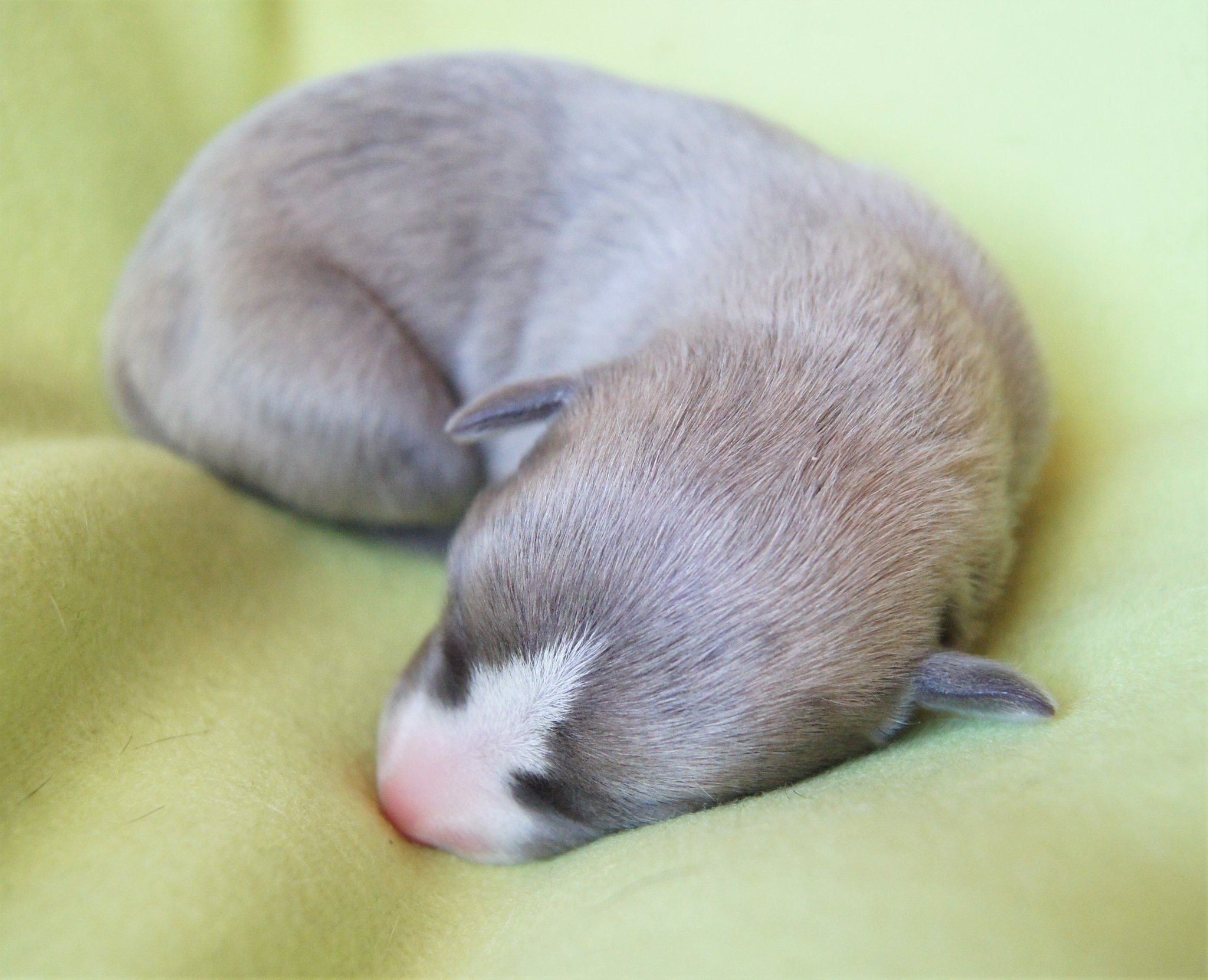 28337835_2055134964501678_4581456554065201921_o