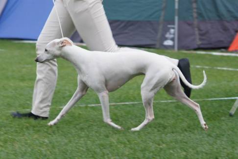 10397976_10153527050920953_8694092593408009214_n