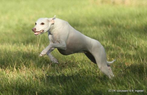 14556559_1073449899441021_8222286339769140620_o