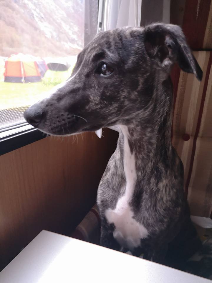 3Sunndalsøra 28-29.april2018