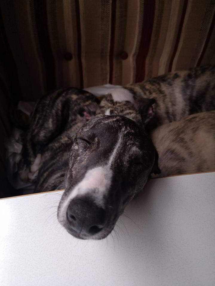 4Sunndalsøra 28-29.april2018