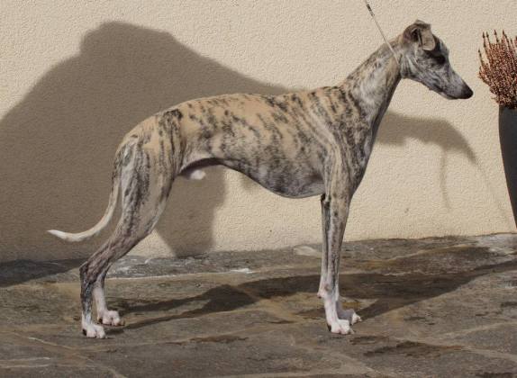 17193845_1406477172737357_2005517979_o