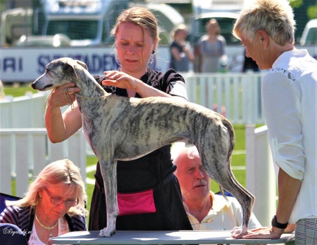 33714533_10215172540174351_5245904872452128768_o