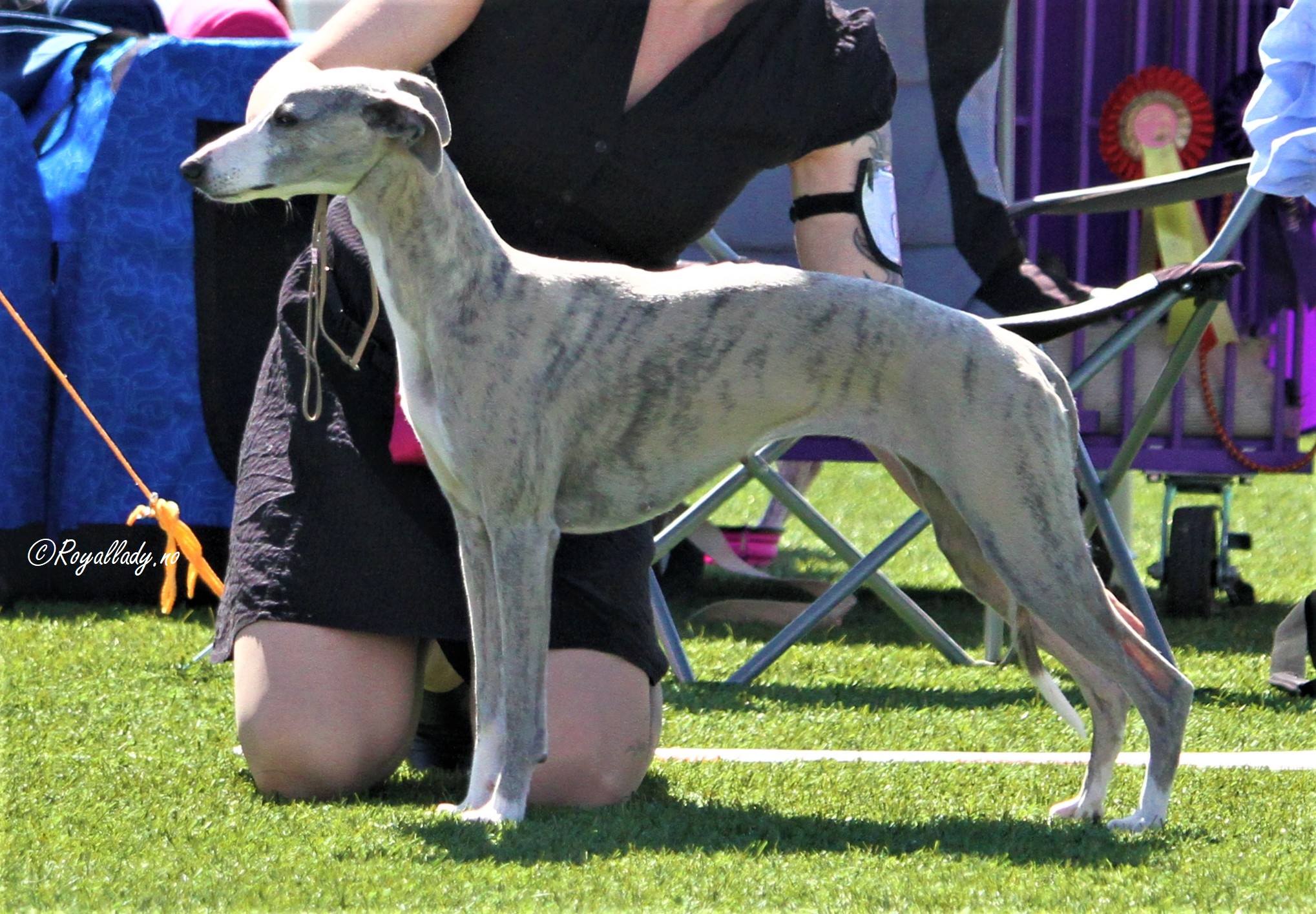 33808804_10215172538054298_2883525817151782912_o