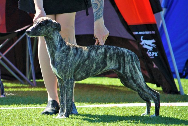 33814862_10215172538214302_1259413947400847360_o