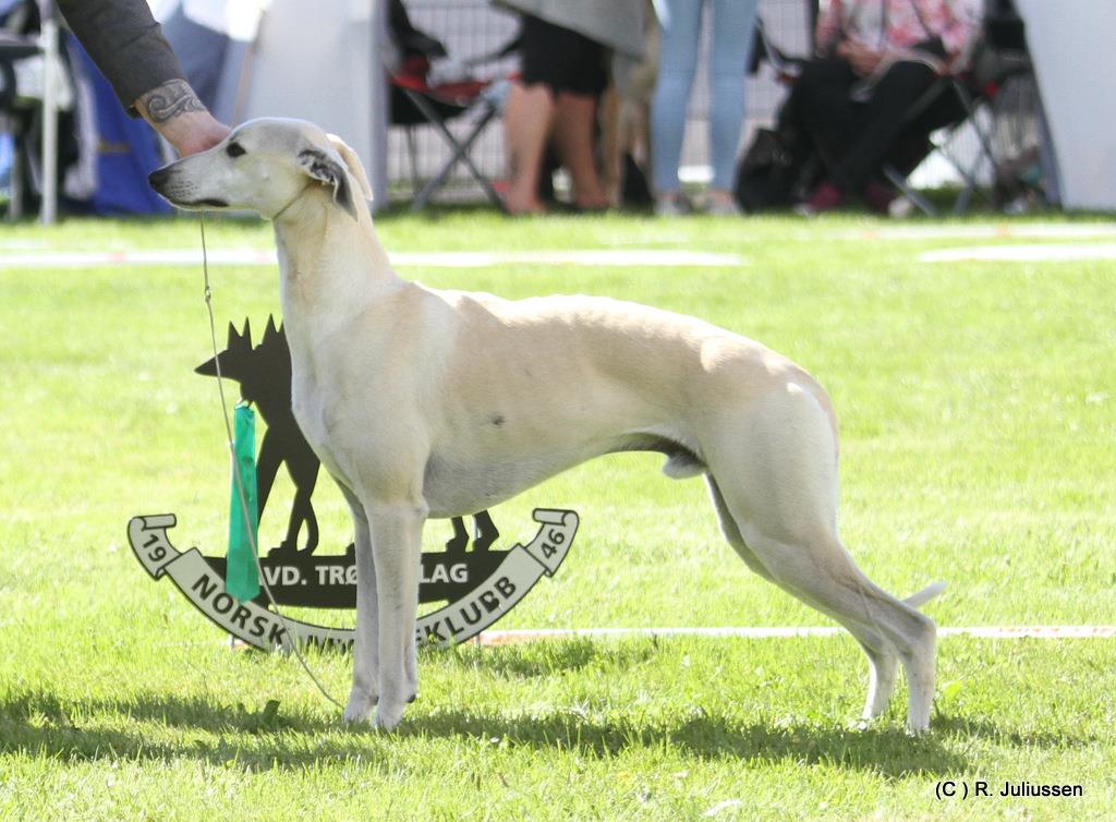 Arn Myndeklubben 30.juni 2018