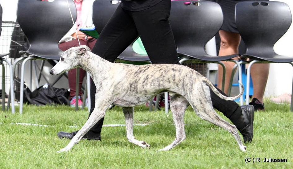 Pil Myndeklubben 30.juni 2018_5