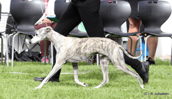 Pil Myndeklubben 30.juni 2018_5