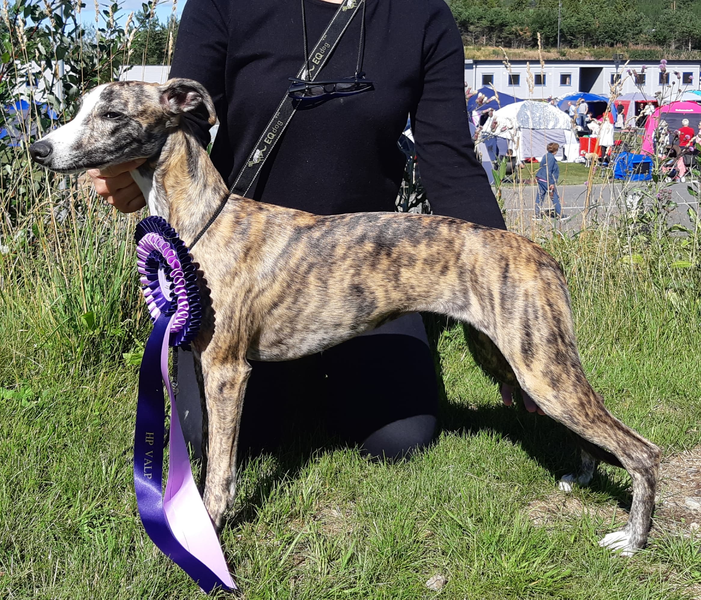 Coco (Allfirdas Ronja Røverdatter)