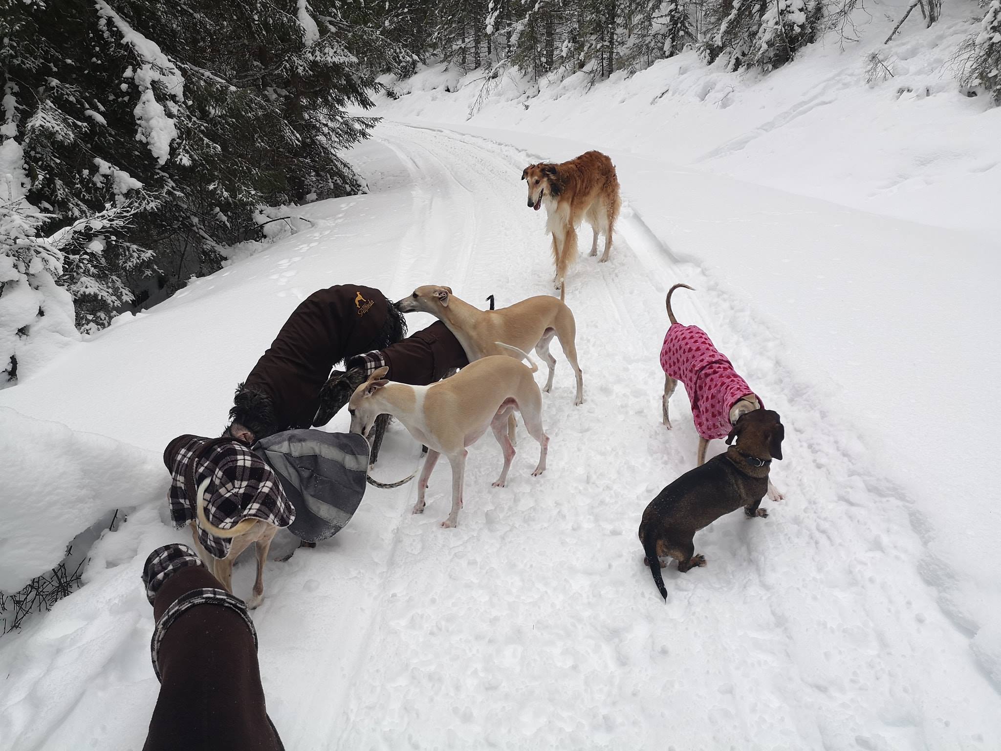 51482172_2567381453277024_1036397882225197056_o