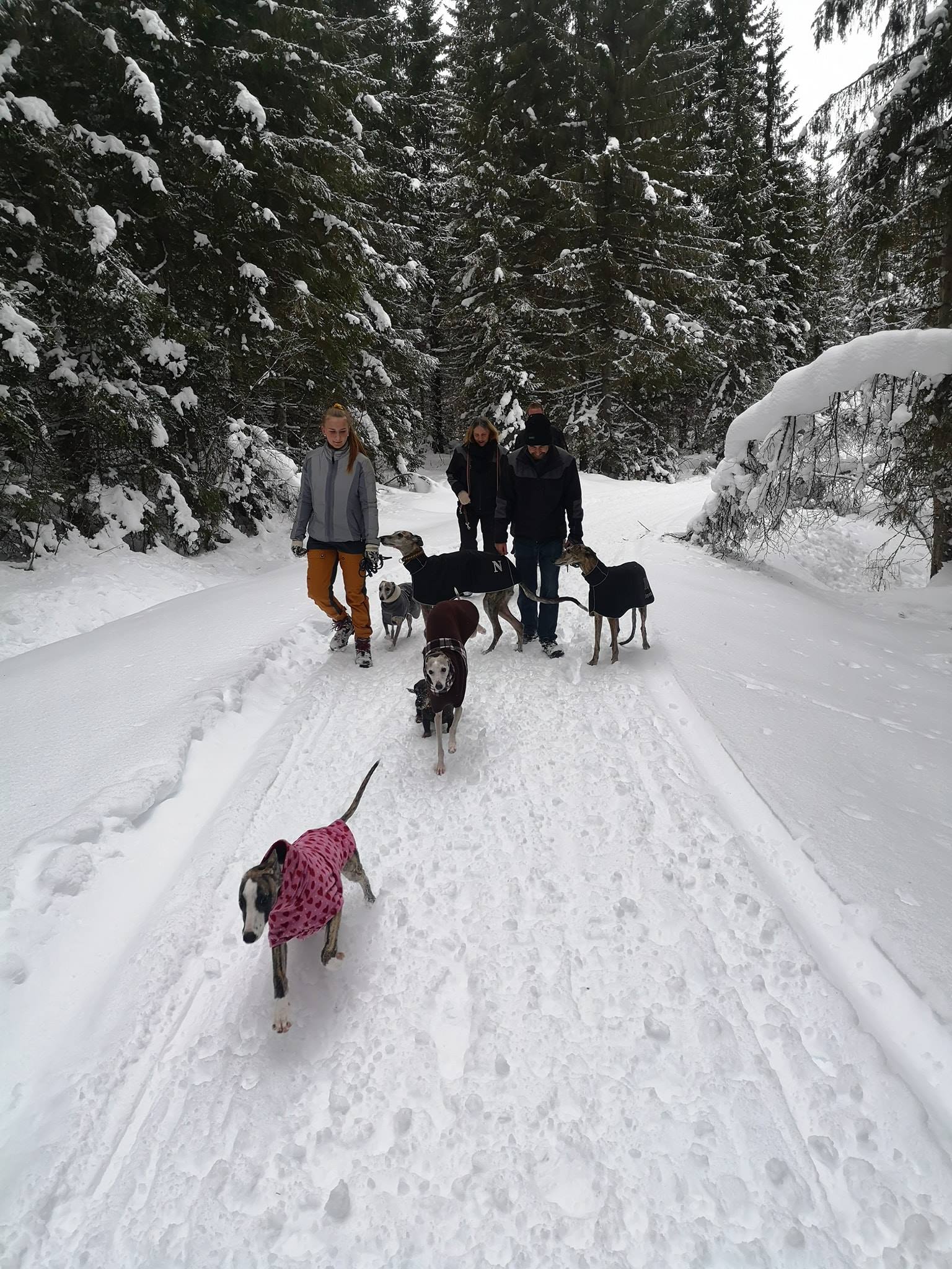 51991399_2567379896610513_2186374740074037248_o