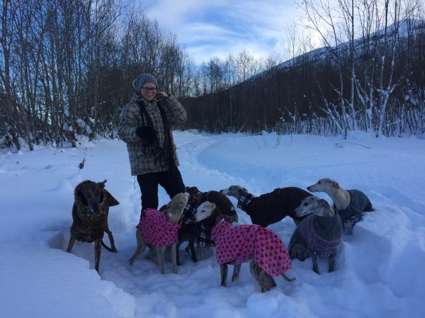 Surnadal 4.februar_11