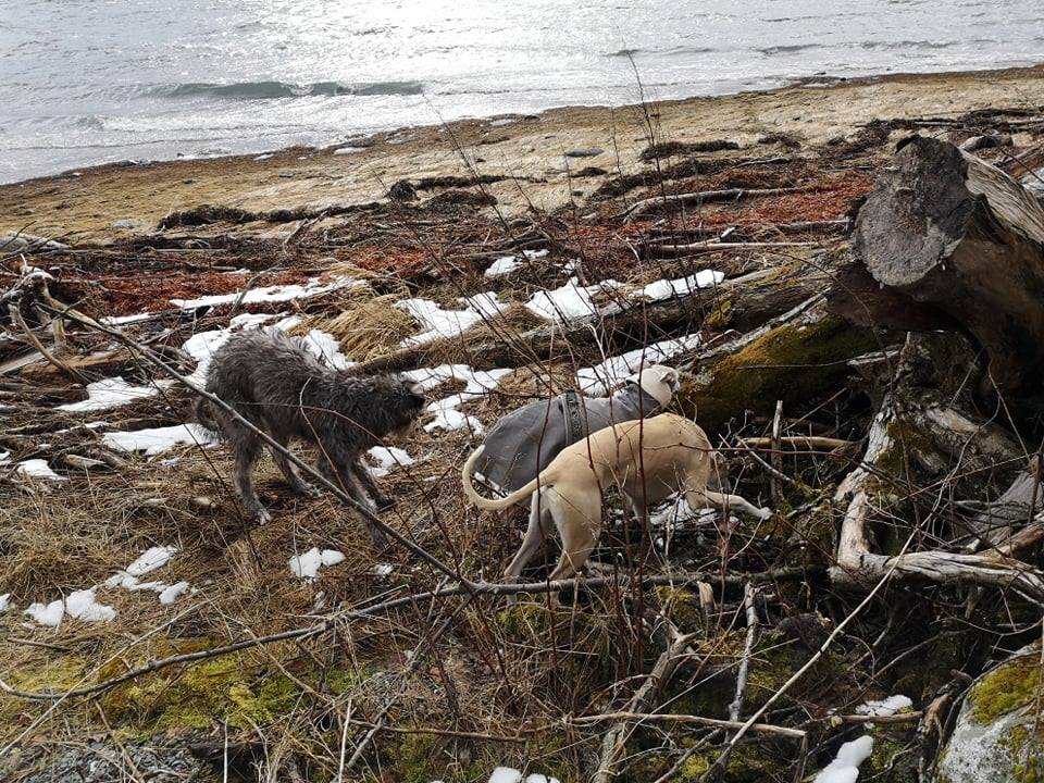 54279610_302345650384583_1634285036662423552_n