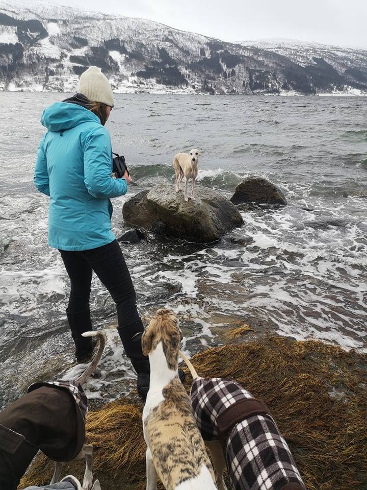 54435209_269261254018461_178831193981059072_n