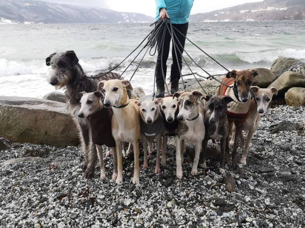 54458061_2376947022551431_185907564918079488_n