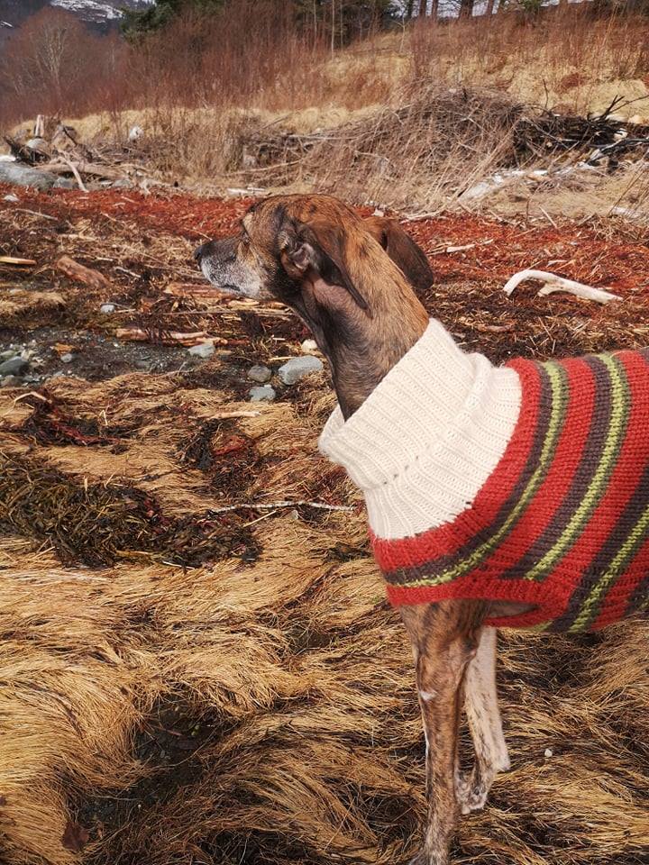 55218812_388590511961154_7711456923467382784_n