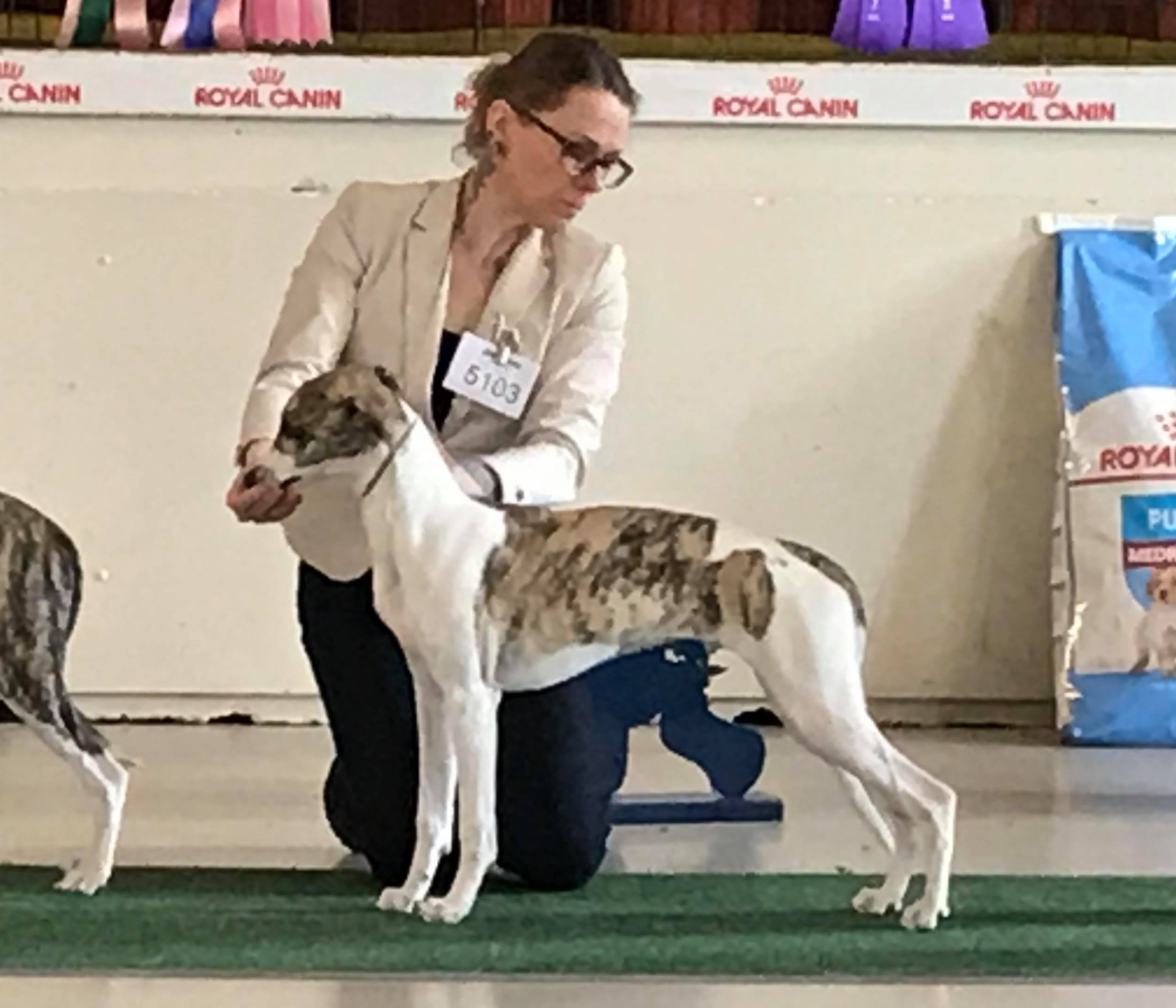 Allfirdas Billy The Kid