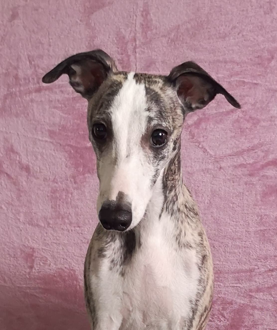 Allfirdas Roskva_8web