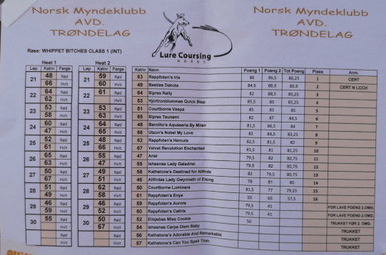 Skjermbilde 2019-05-22 kl. 18.42.44