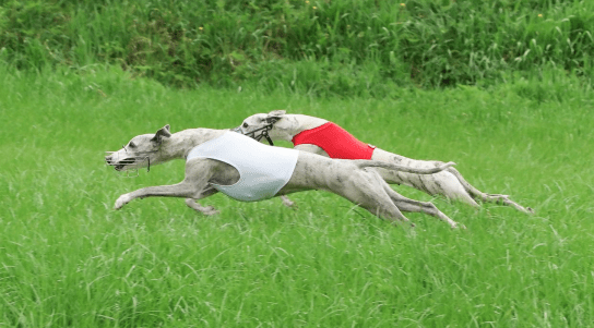 Skjermbilde 2019-05-22 kl. 19.02.20