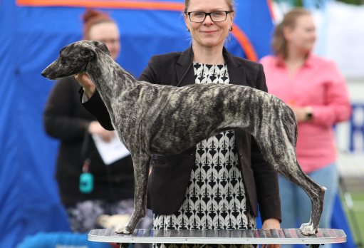 Abba 4BTK 23.juni 2019_2