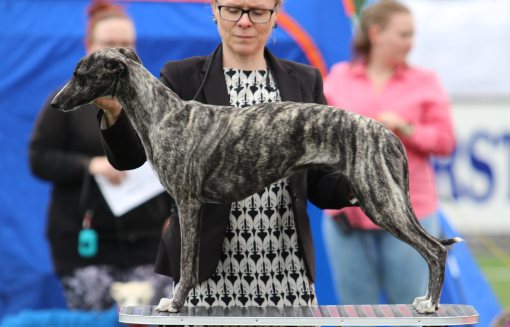 Abba 4BTK 23.juni 2019_3