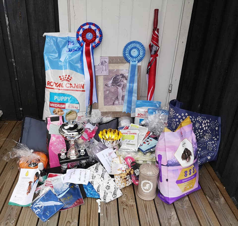 Gavedryss Whippetspesialen 2019