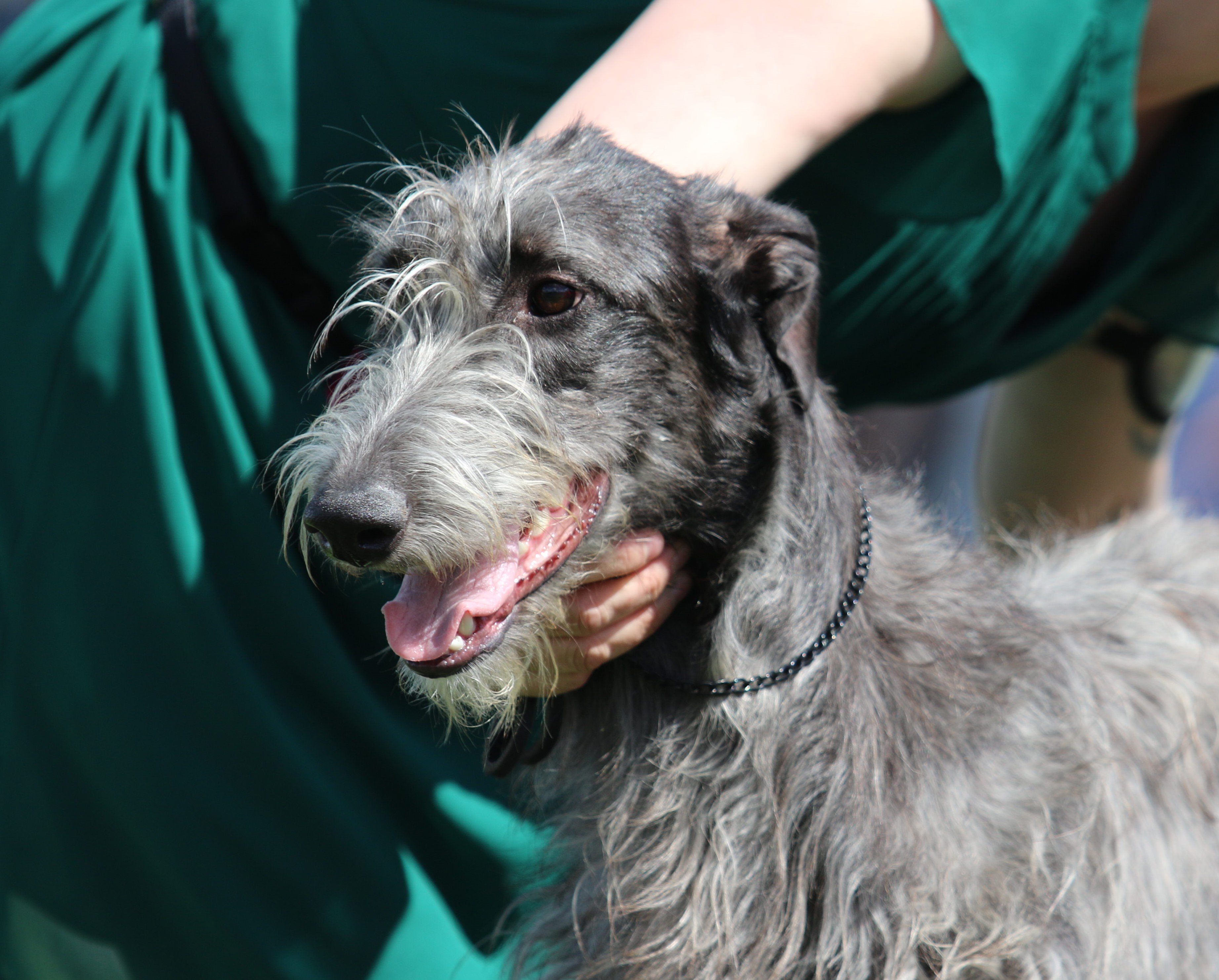 Inga BIG3 22.juni 2019_11