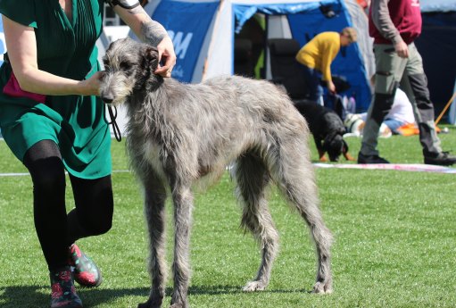 Inga BIG3 22.juni 2019_12