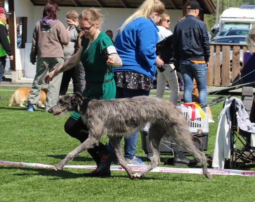 Inga BIG3 22.juni 2019_8