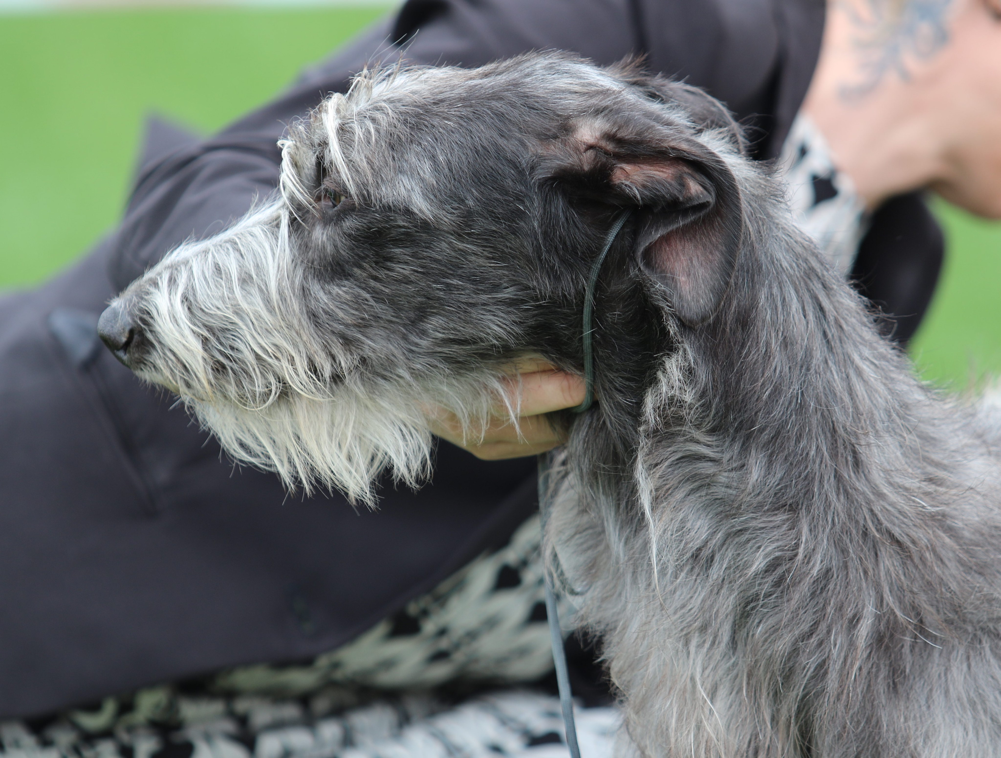 Inga BIG3 23.juni 2019_2