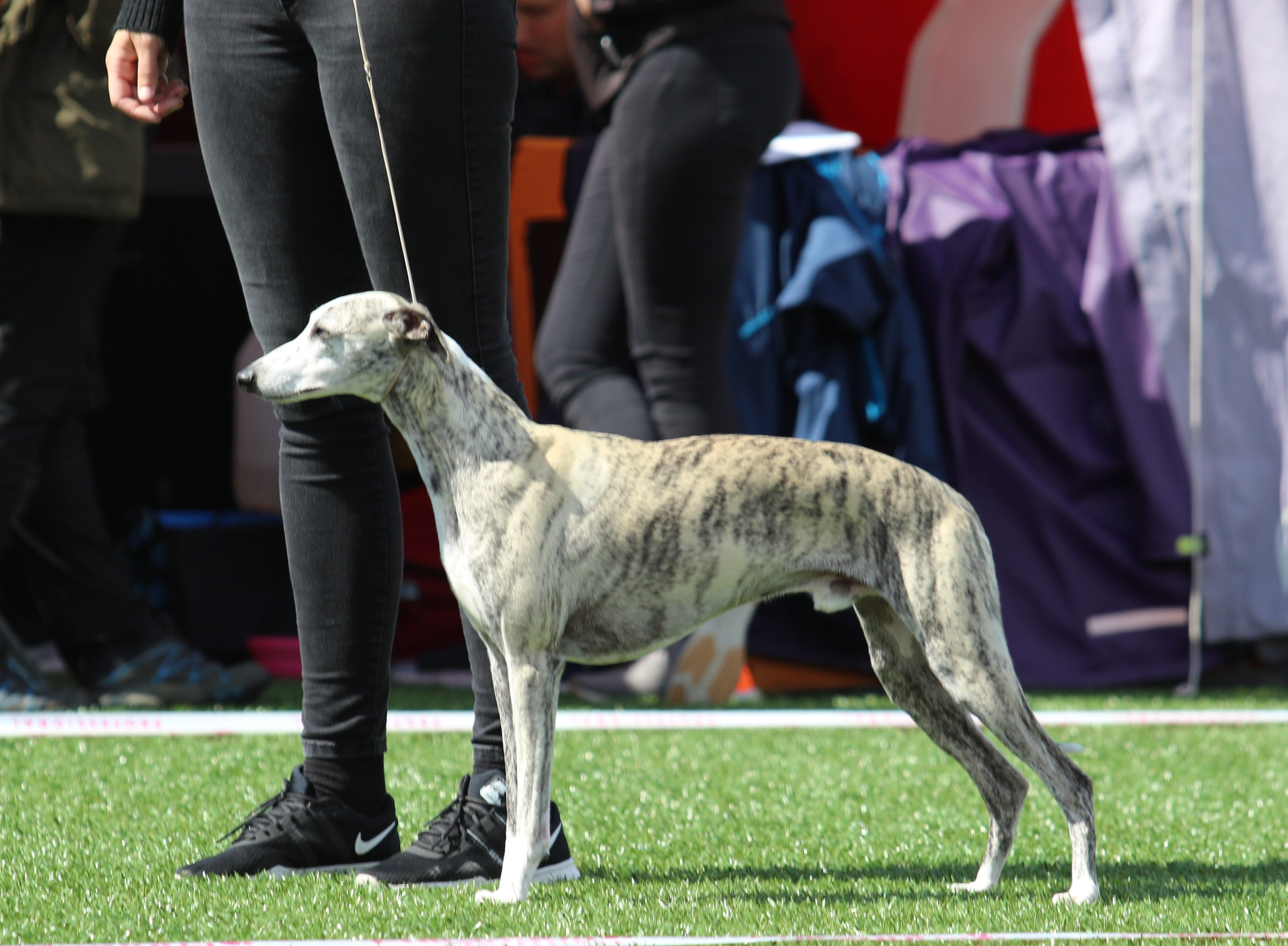 Pil EXC 2AKK 22.juni 2019