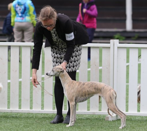 Pippi BIS 23.juni 2019_10