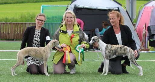 Pippi BIS 23.juni 2019_21