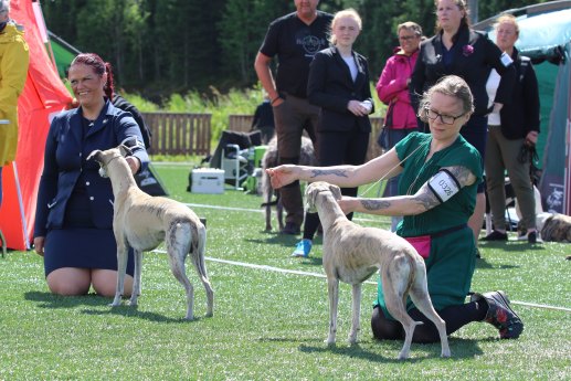 Pippi BIS3. 22.juni 2019_17