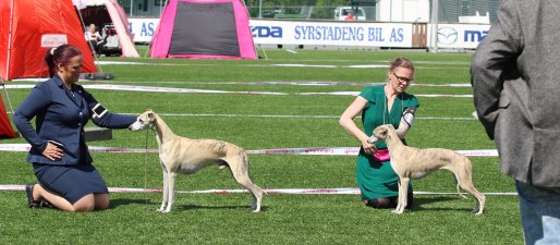 Pippi BIS3. 22.juni 2019_22