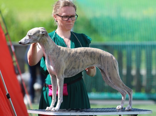 Pippi BIS3. 22.juni 2019_27