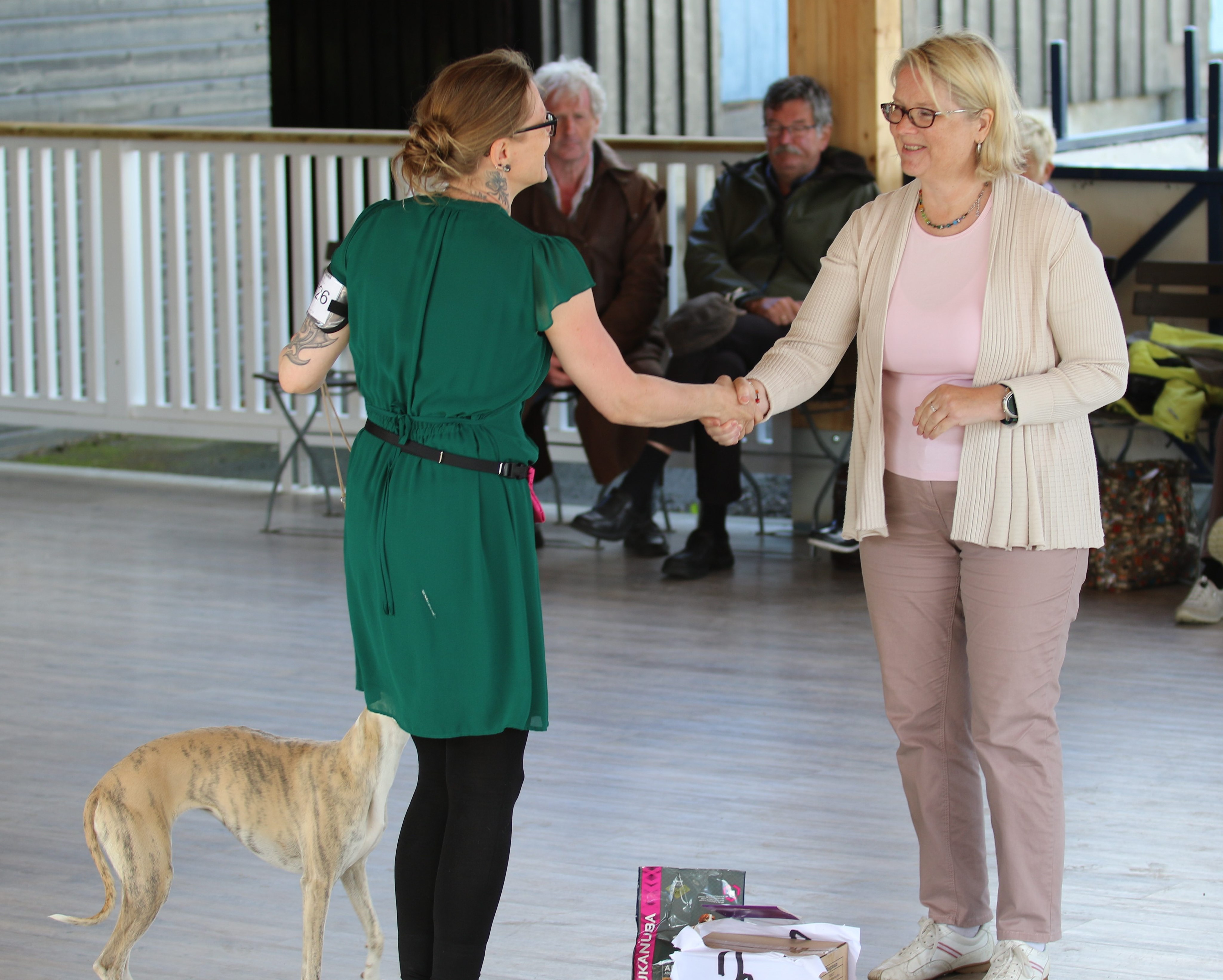 Pippi BIS3. 22.juni 2019_7