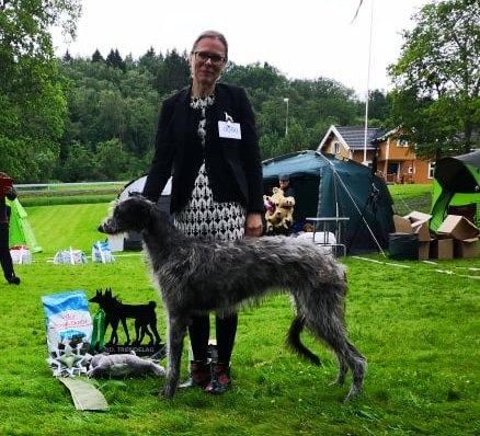 65374712_2251879544931378_8721710270314971136_n