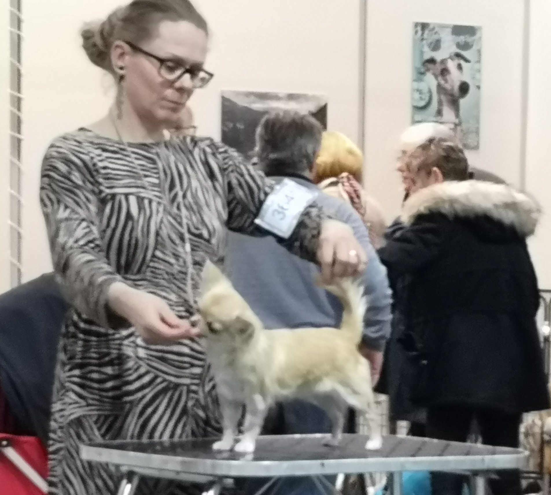 69587031_3126536117361552_7953513652408025088_o