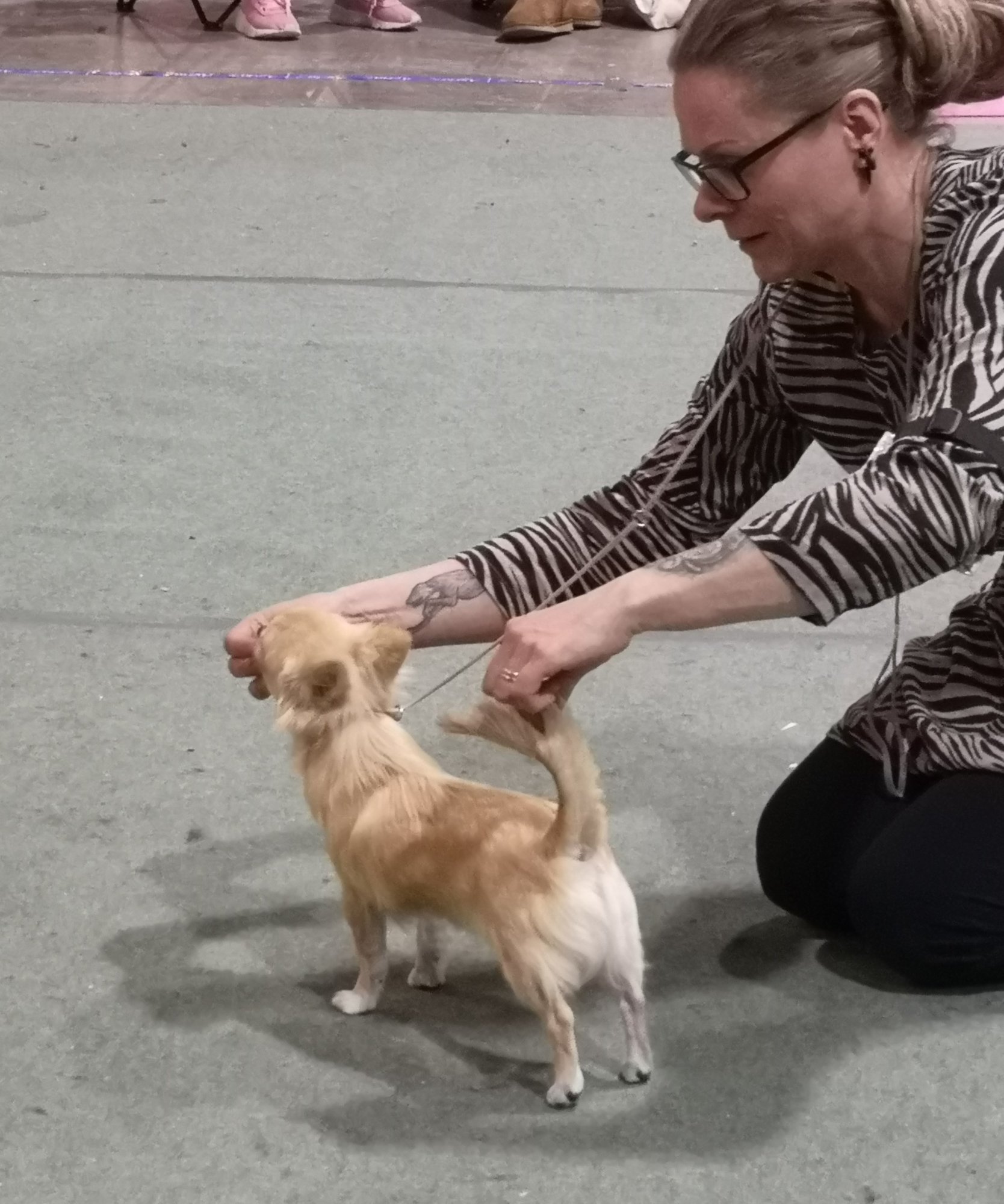 73145182_3126536350694862_6833156641379057664_o