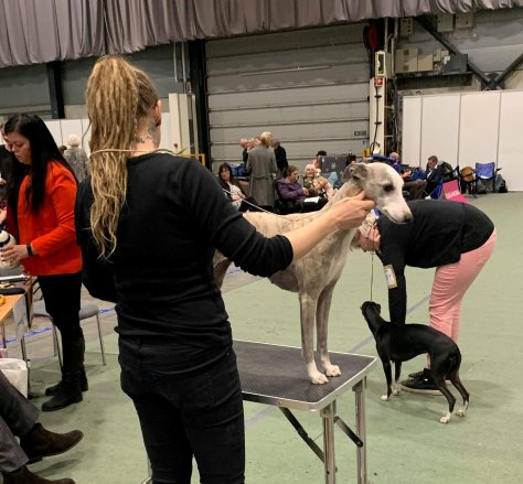 75580158_3126535180694979_4040752807429537792_o