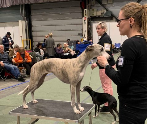 76706794_3126535774028253_5605617166700249088_o